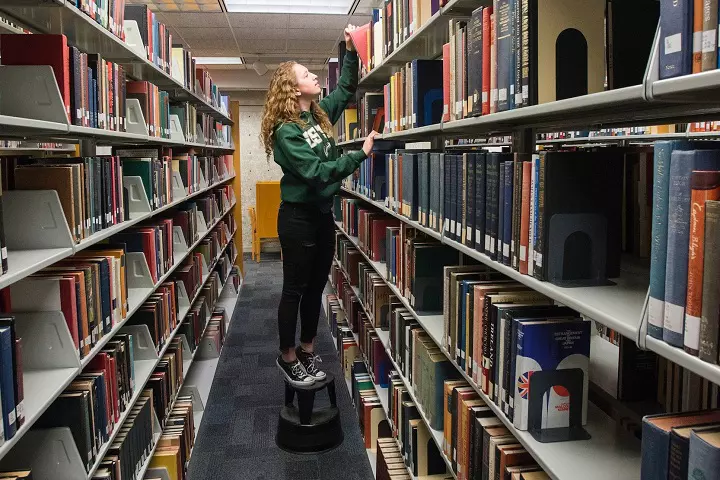 University of South Florida, Tampa Campus Admission, Courses, Fees